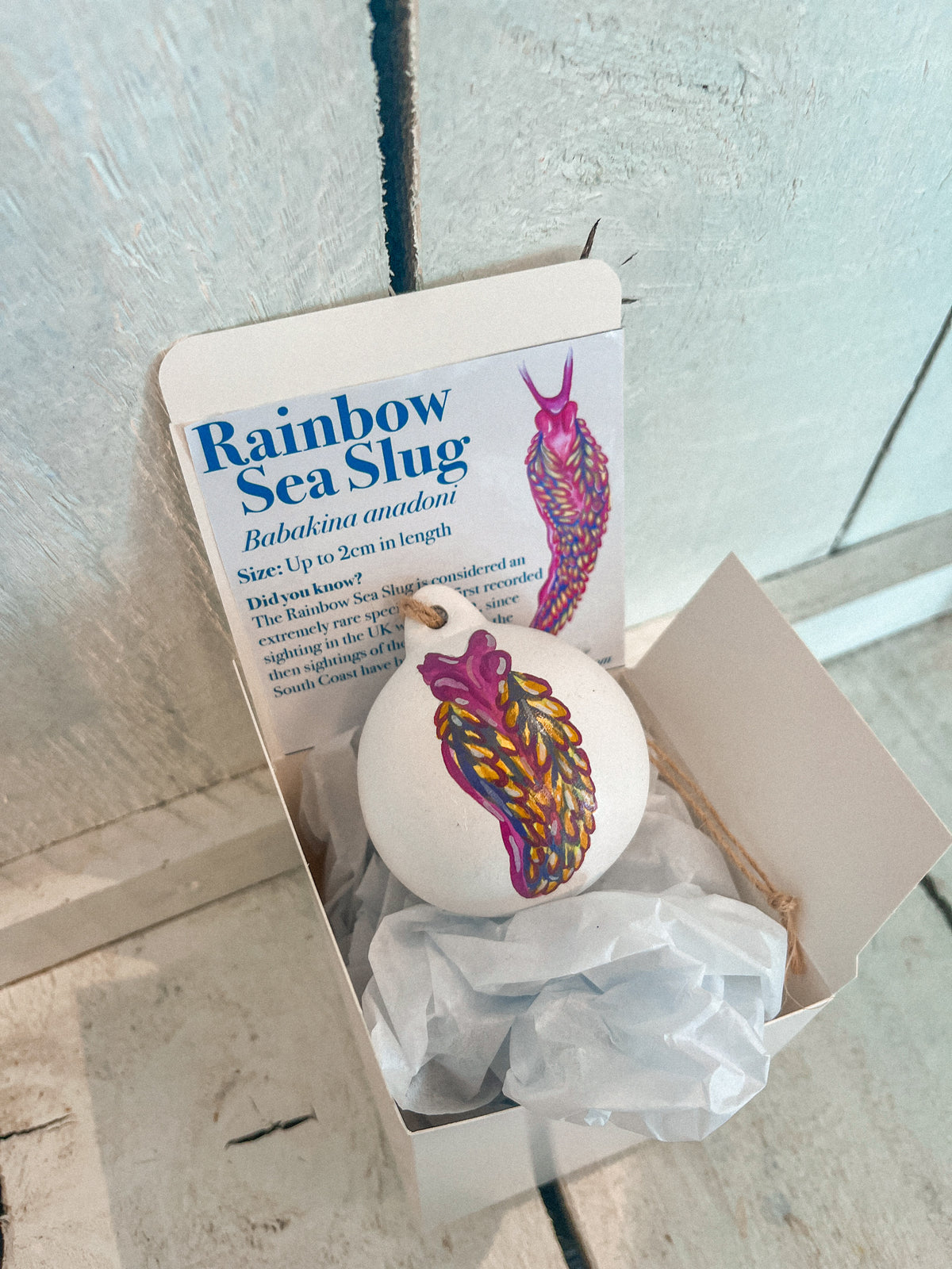 Rainbow Sea Slug Hand Painted Bauble