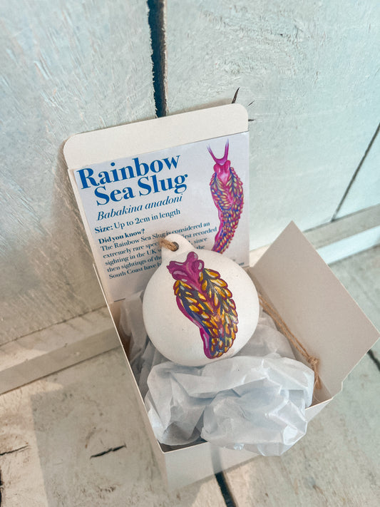 Rainbow Sea Slug Hand Painted Bauble
