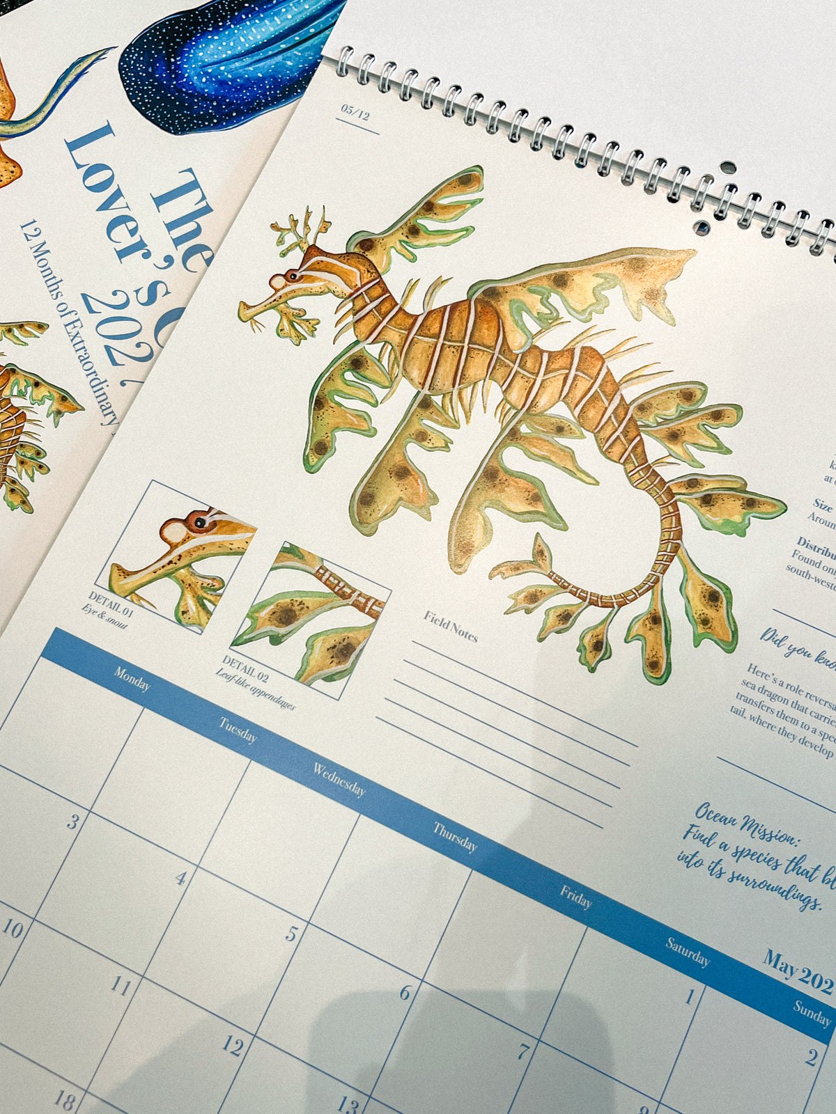 The Ocean Lover’s Calendar