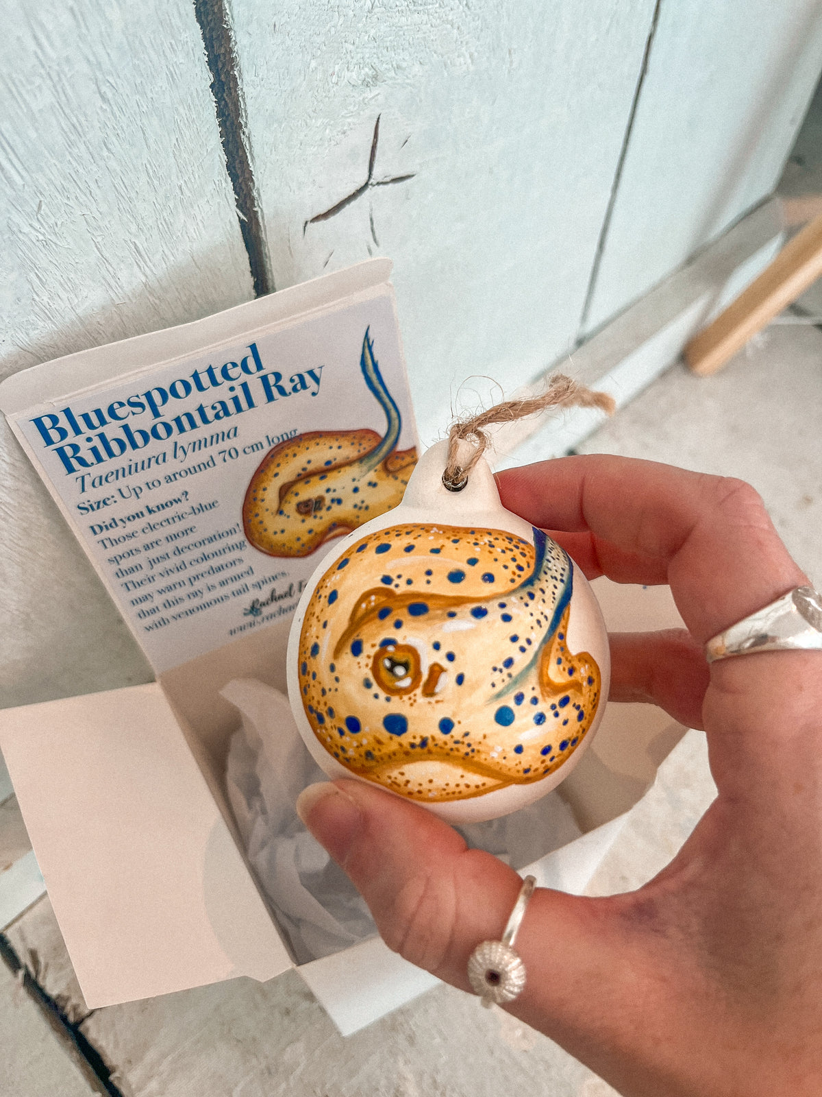 Bluespotted Ribbontail Ray Hand Painted Bauble