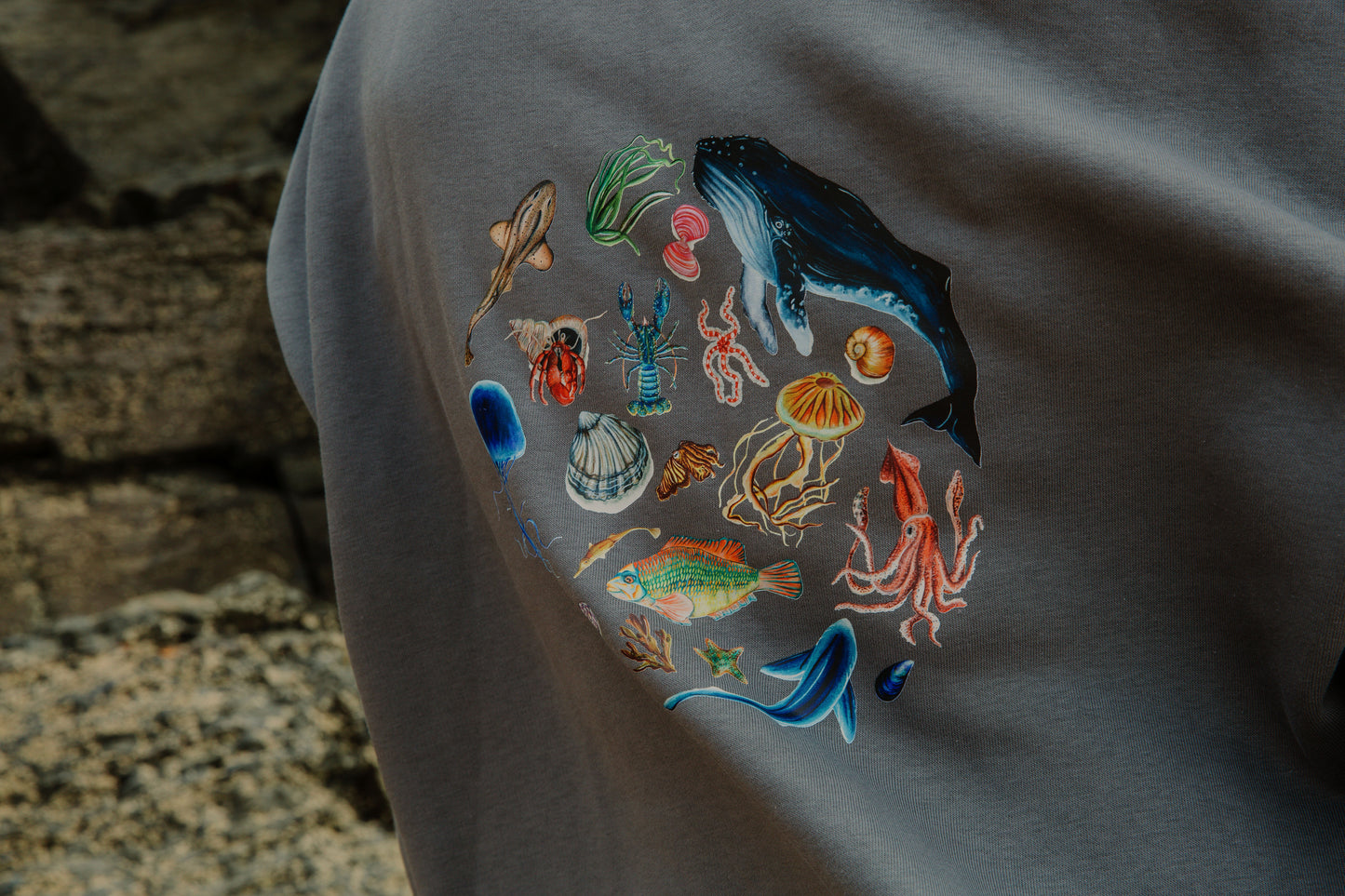 The Ocean Guide Sweater