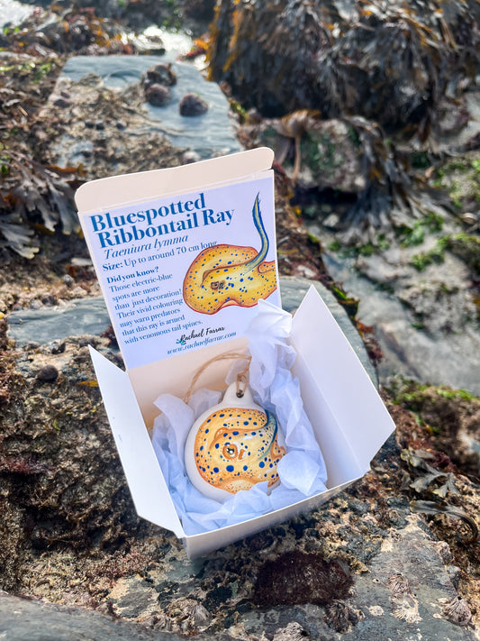 Bluespotted Ribbontail Ray Hand Painted Bauble