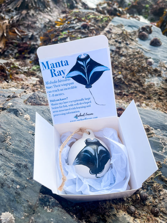 Manta Ray Hand Painted Bauble