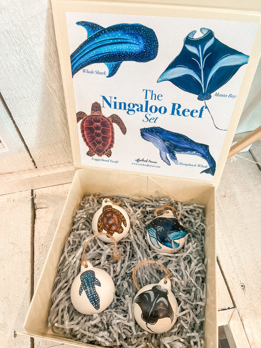 The Ningaloo Reef Bauble Set