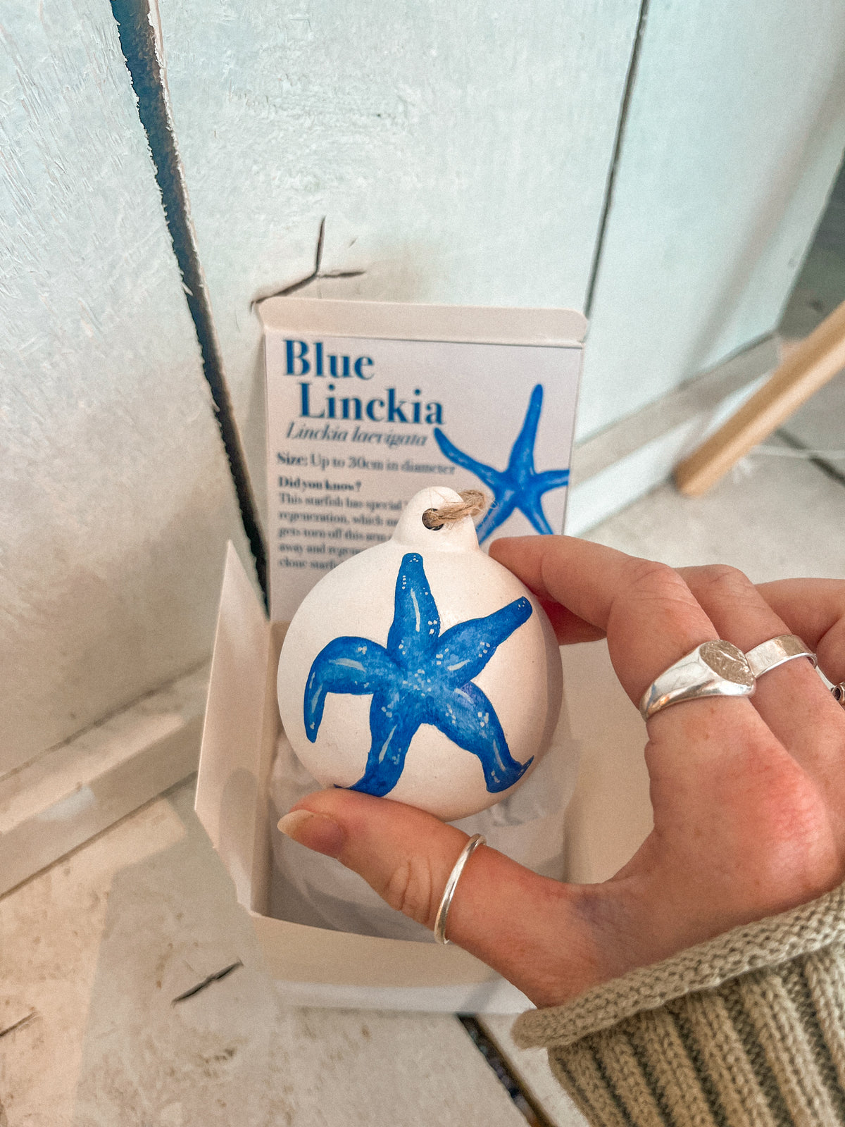 Blue Starfish Hand Painted Bauble