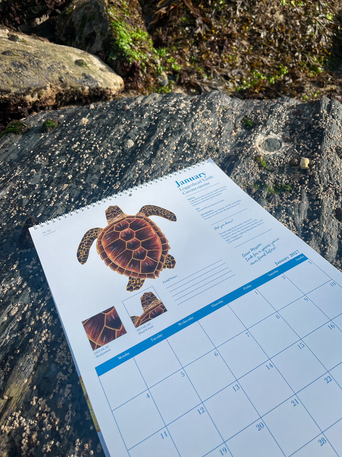 The Ocean Lover’s Calendar