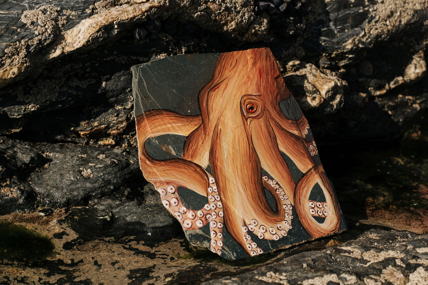 Octopus on Slate, Original Watercolour Painting