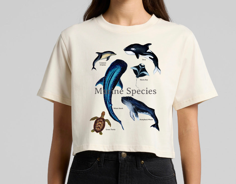 Custom Crop Tee - Amy