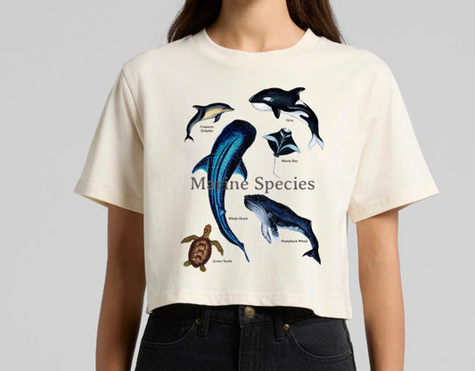 Custom Crop Tee - Amy