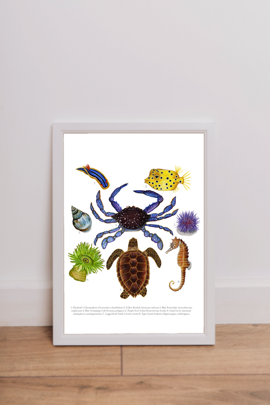 The April Archive Print