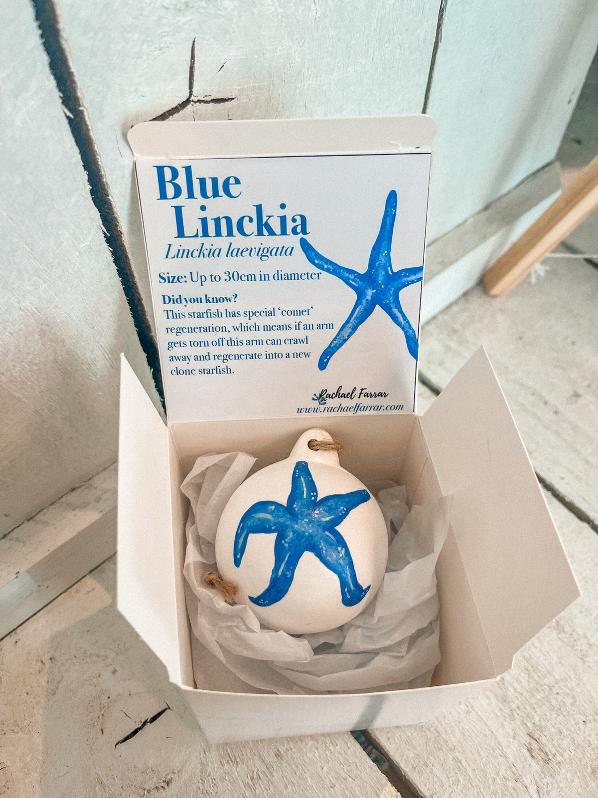 Blue Starfish Hand Painted Bauble