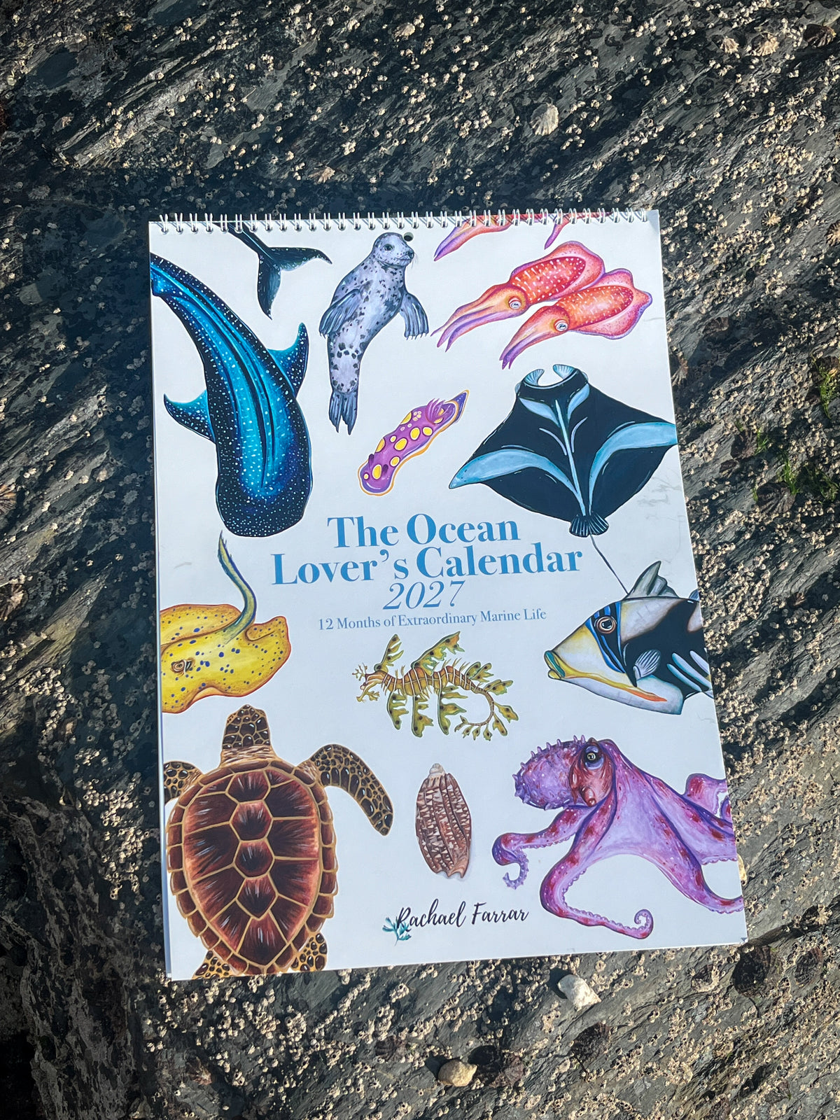 The Ocean Lover’s Calendar