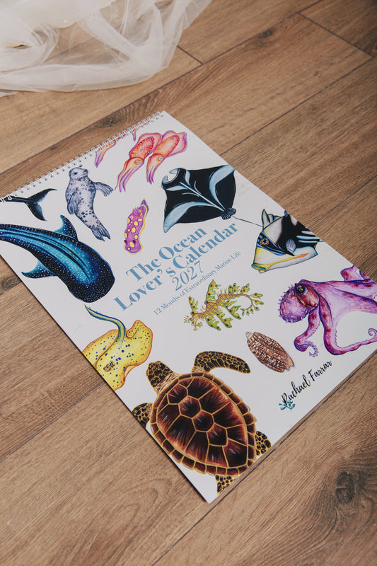 The Ocean Lover’s Calendar
