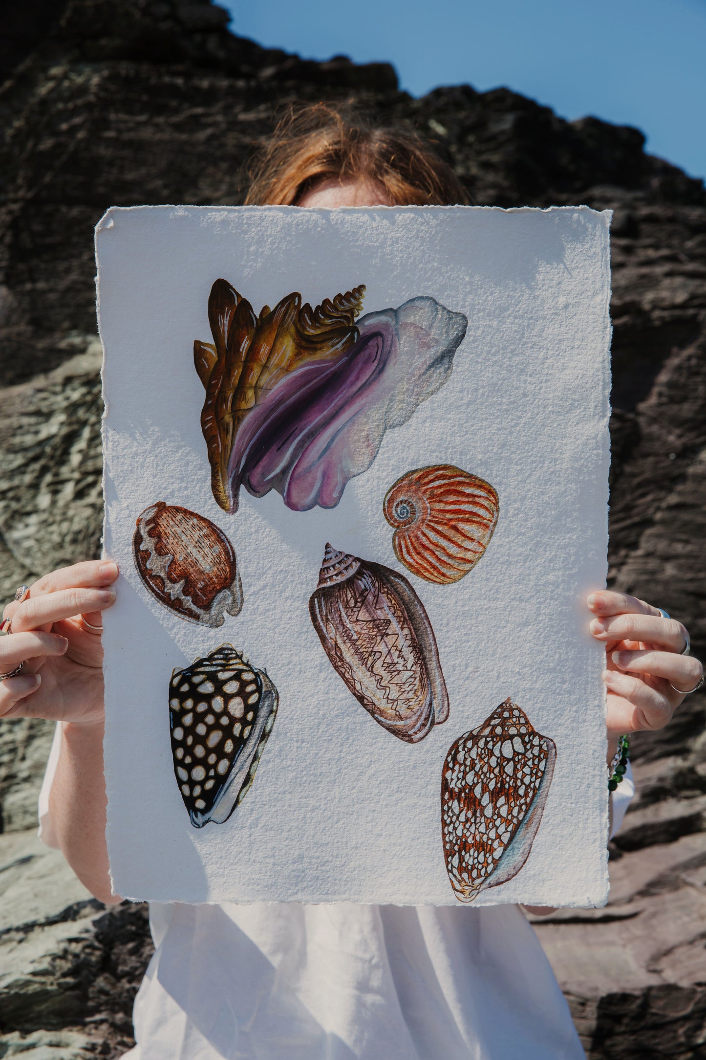 Treasures from the Shore Original Watercolour Painting