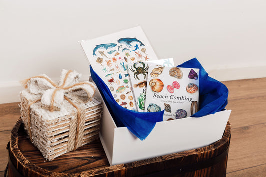 The Ocean Lover's Gift Set