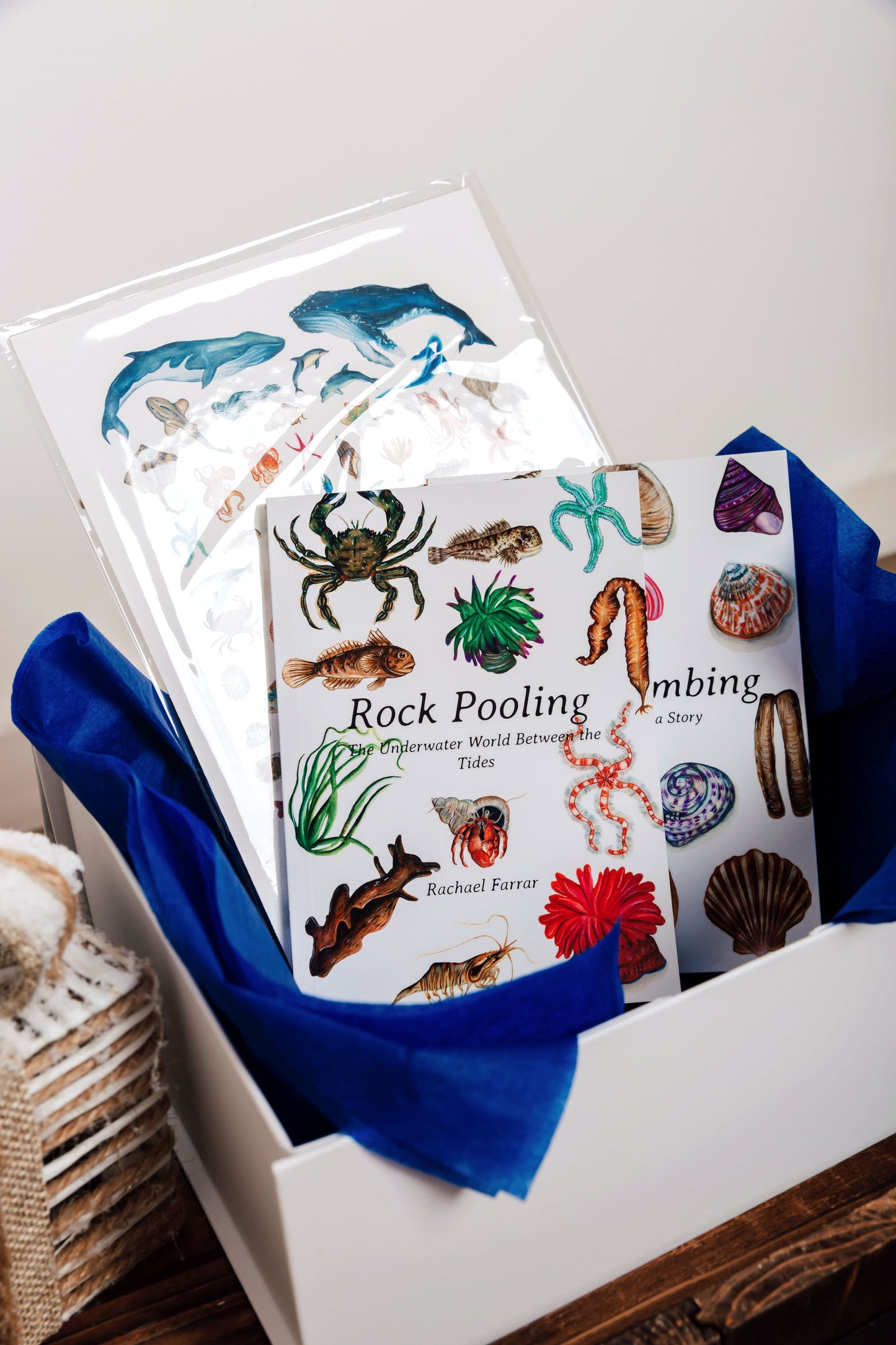 The Ocean Lover's Gift Set