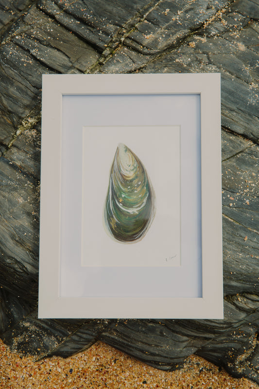 Green Mussel Mini Original Watercolour