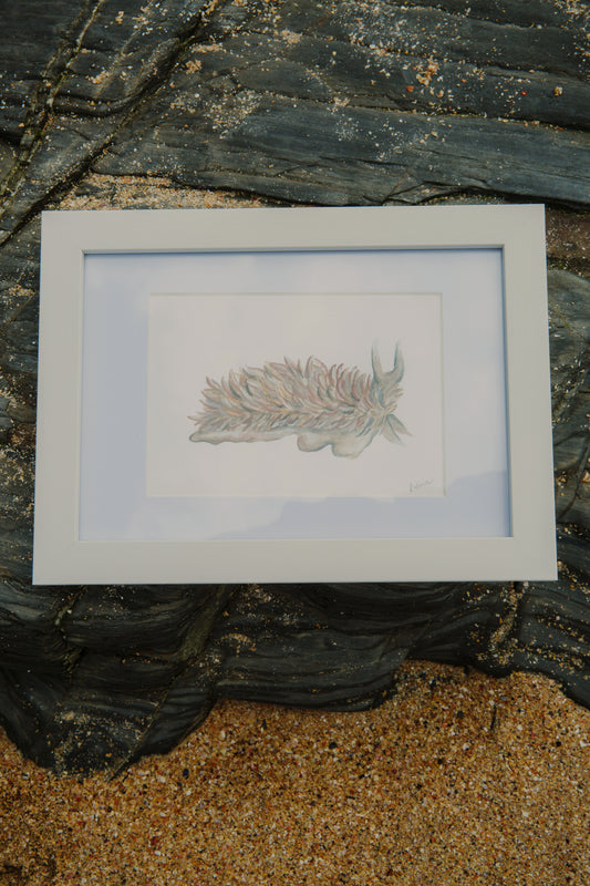 Grey Sea Slug Mini Original Watercolour