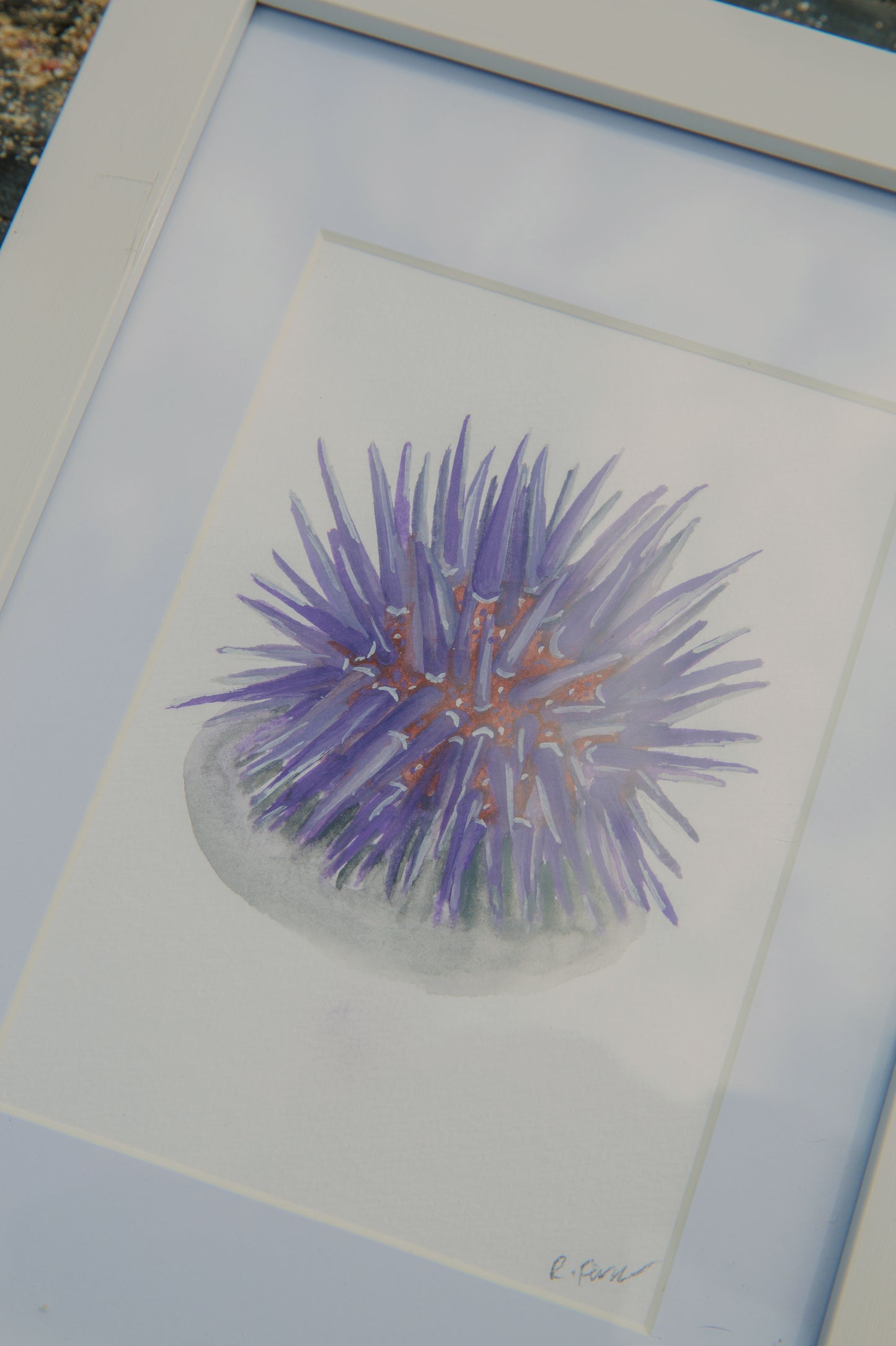 Purple Sea Urchin Mini Original Watercolour