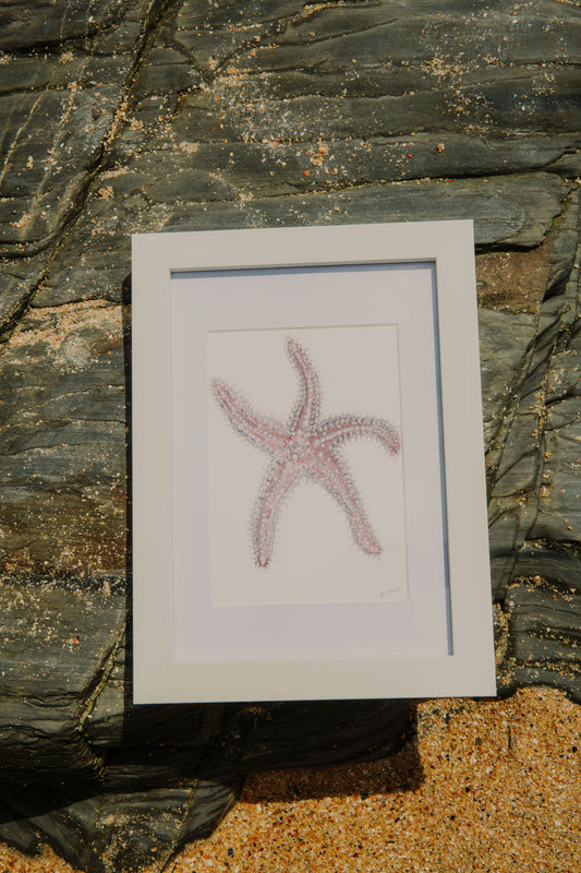 Spiny Starfish Mini Original Watercolour