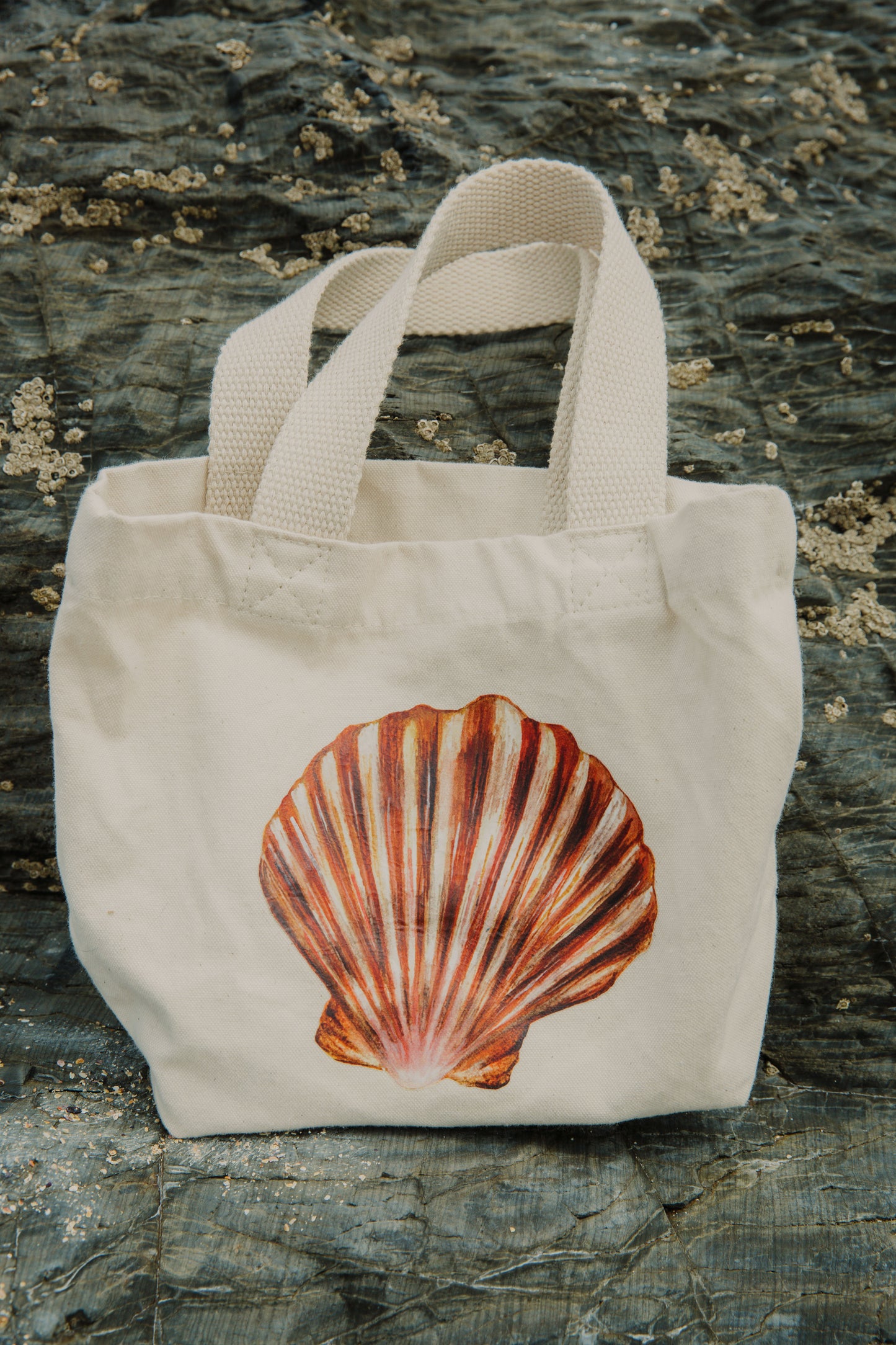 The Little Beachcomber Bag