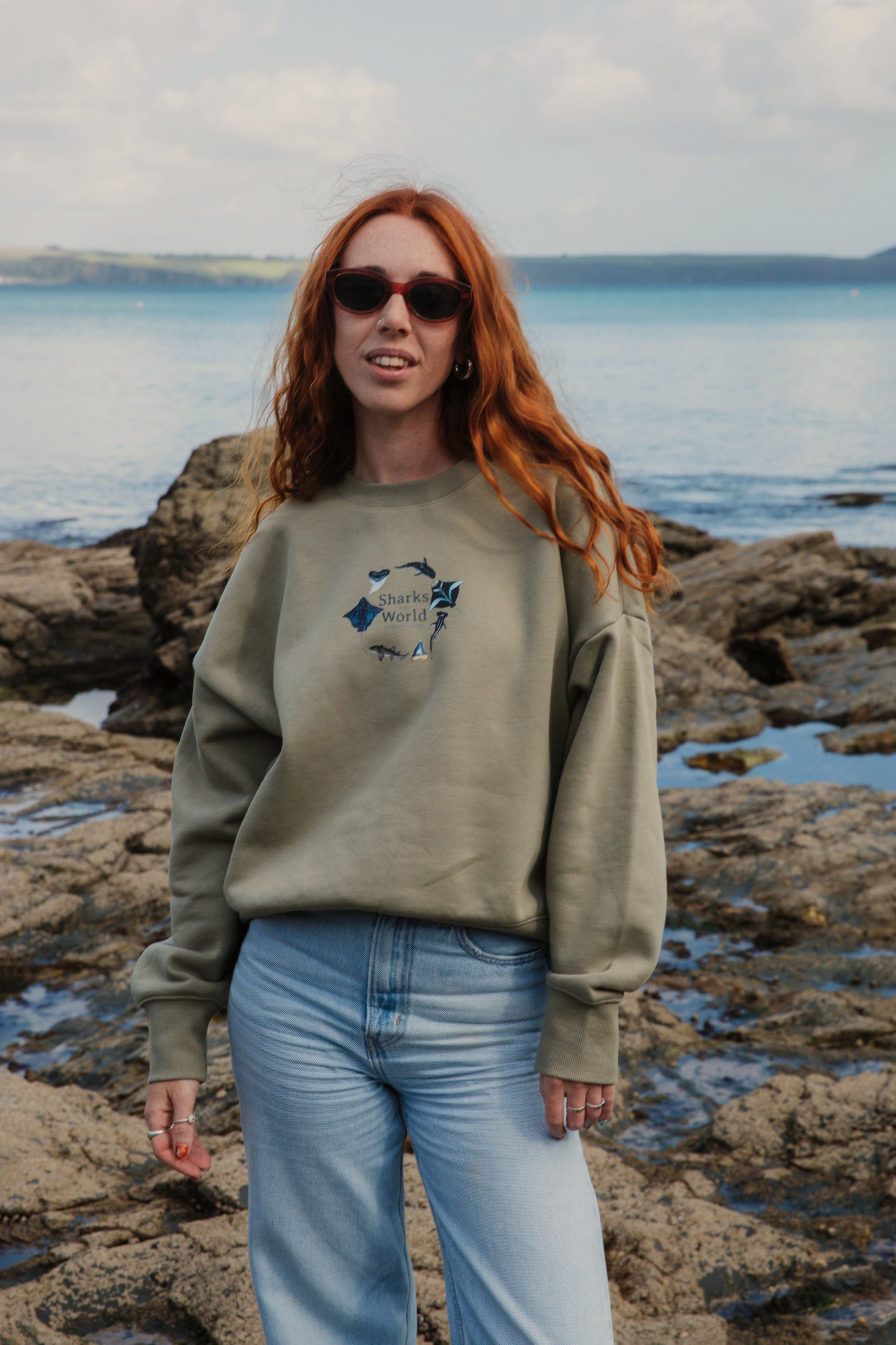 Sharks of the World Sweater