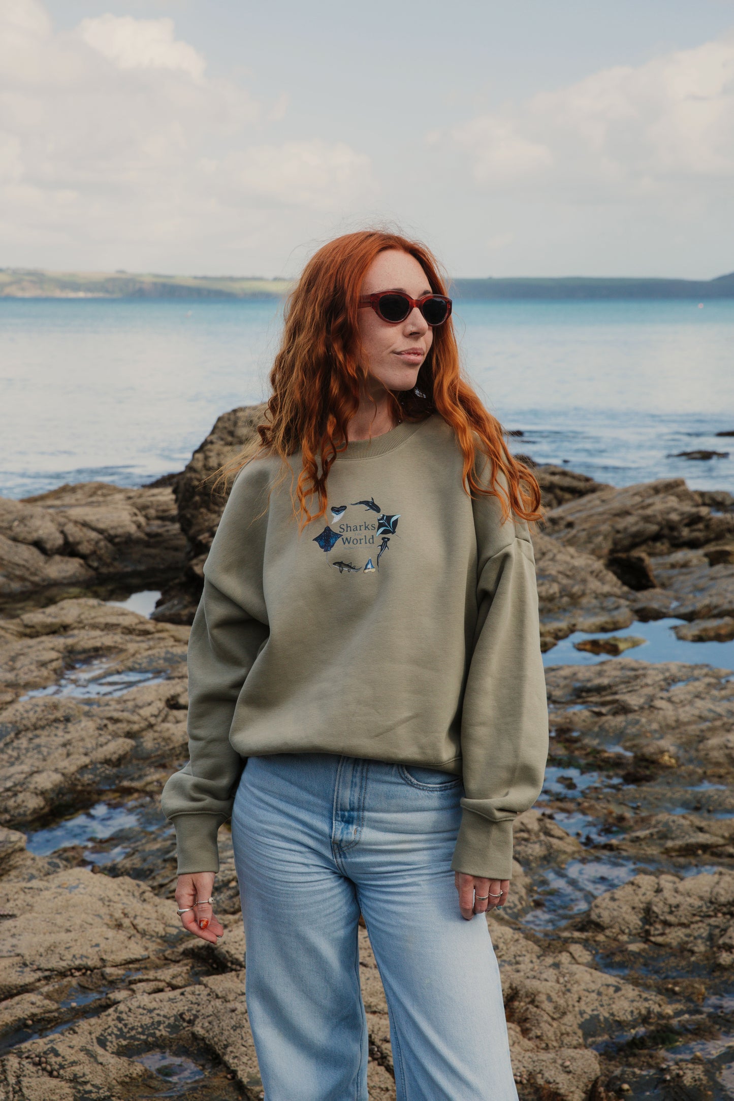 Sharks of the World Sweater