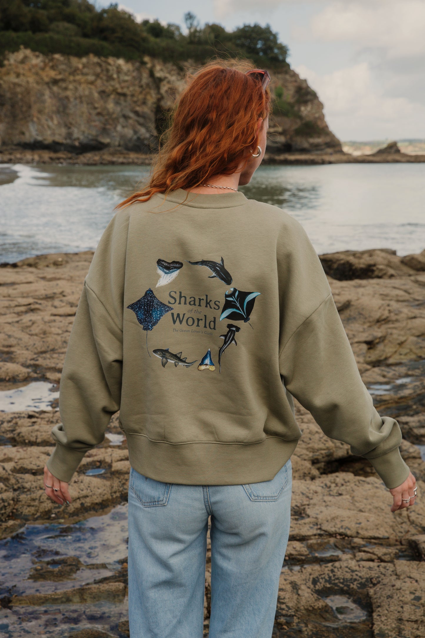 Sharks of the World Sweater