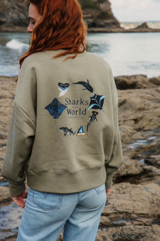 Sharks of the World Sweater