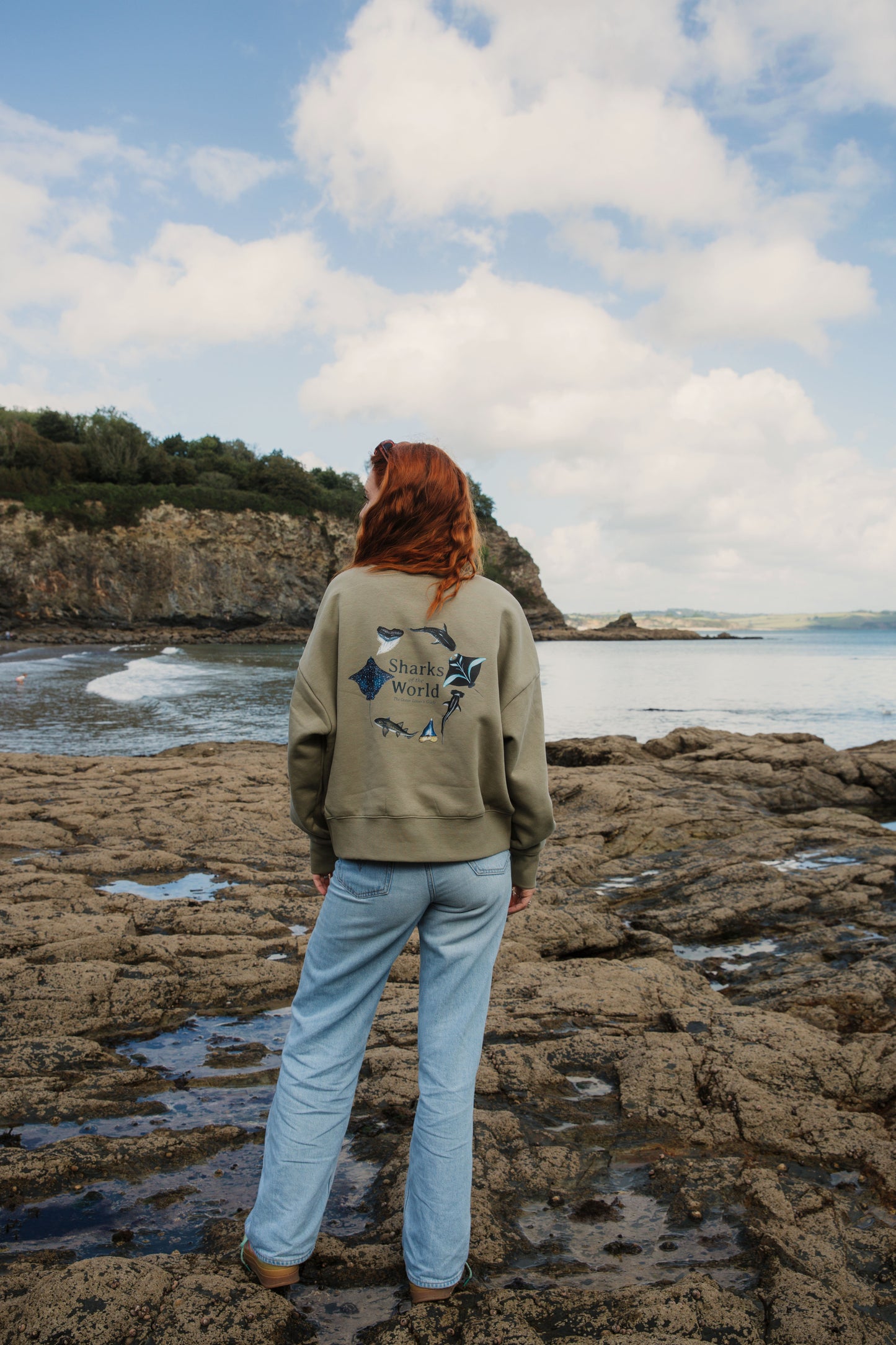Sharks of the World Sweater