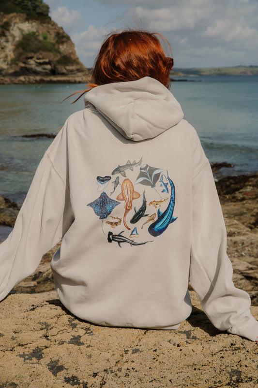 The School of Sharks Hoodie