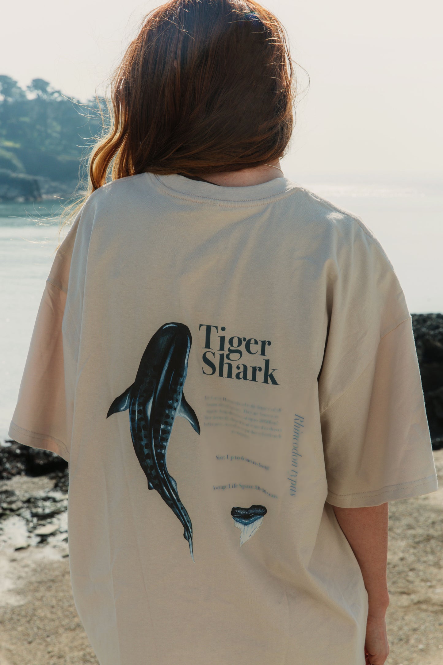 The Shark Facts Tee