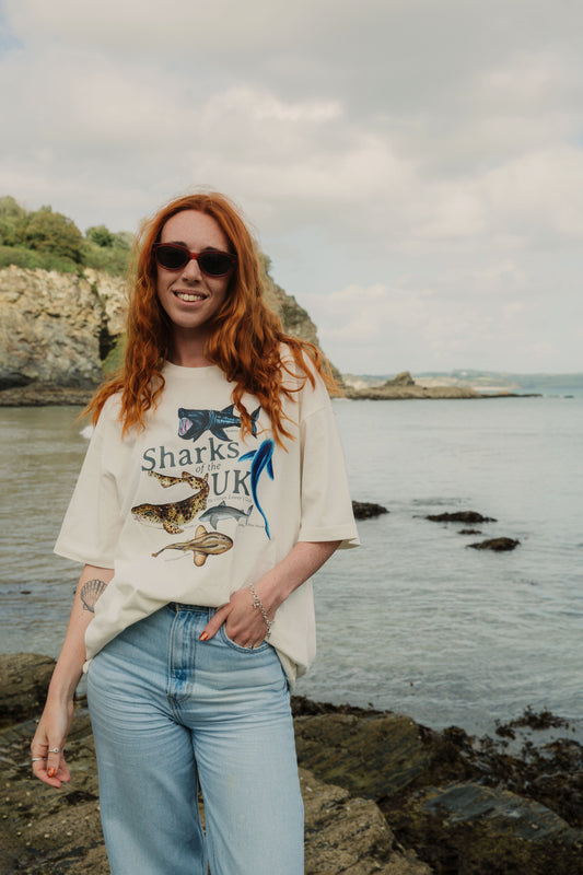 Sharks of the UK Tee