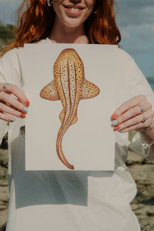 Leopard Shark Original Watercolour
