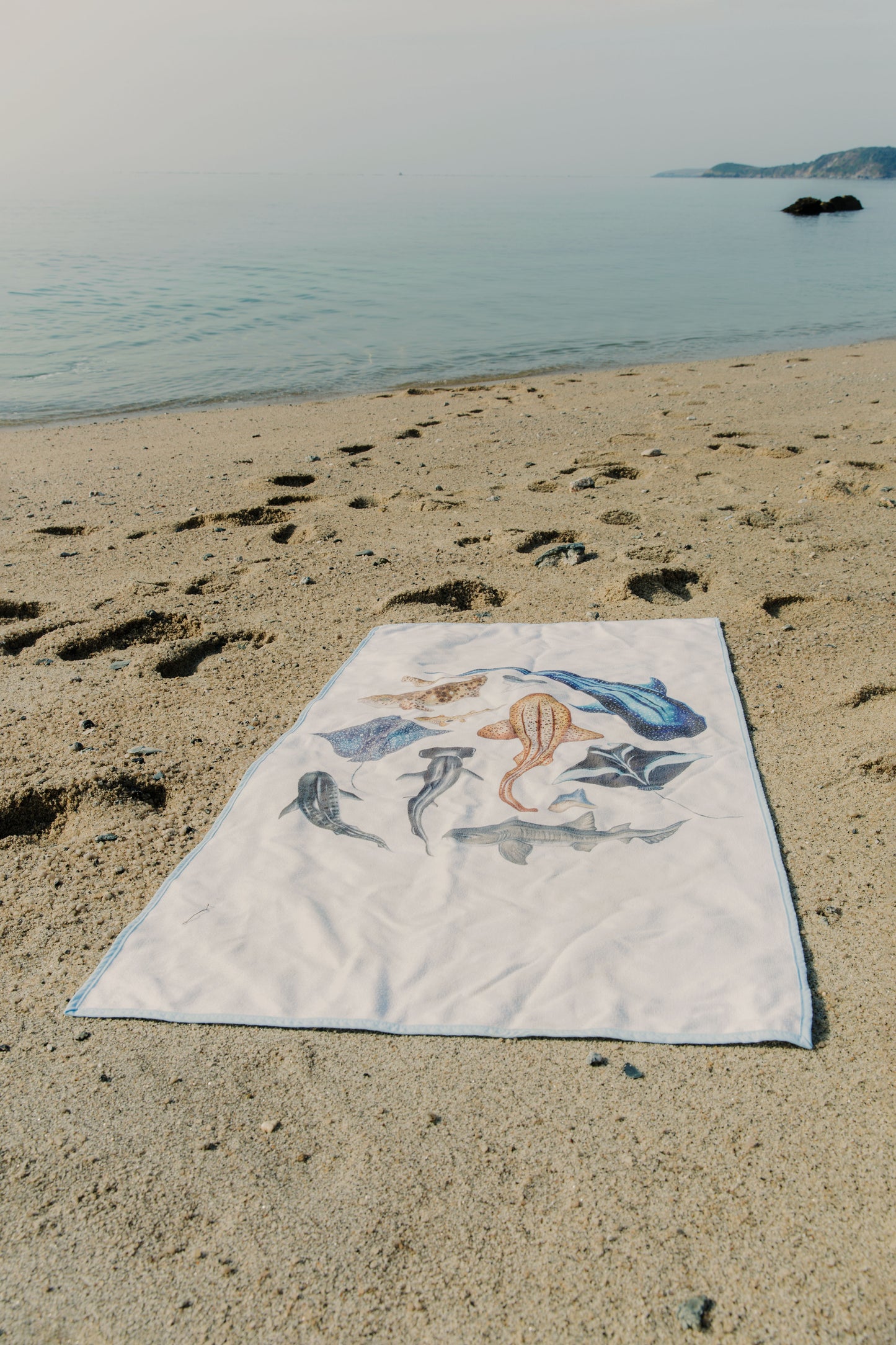 The School of Sharks Towel