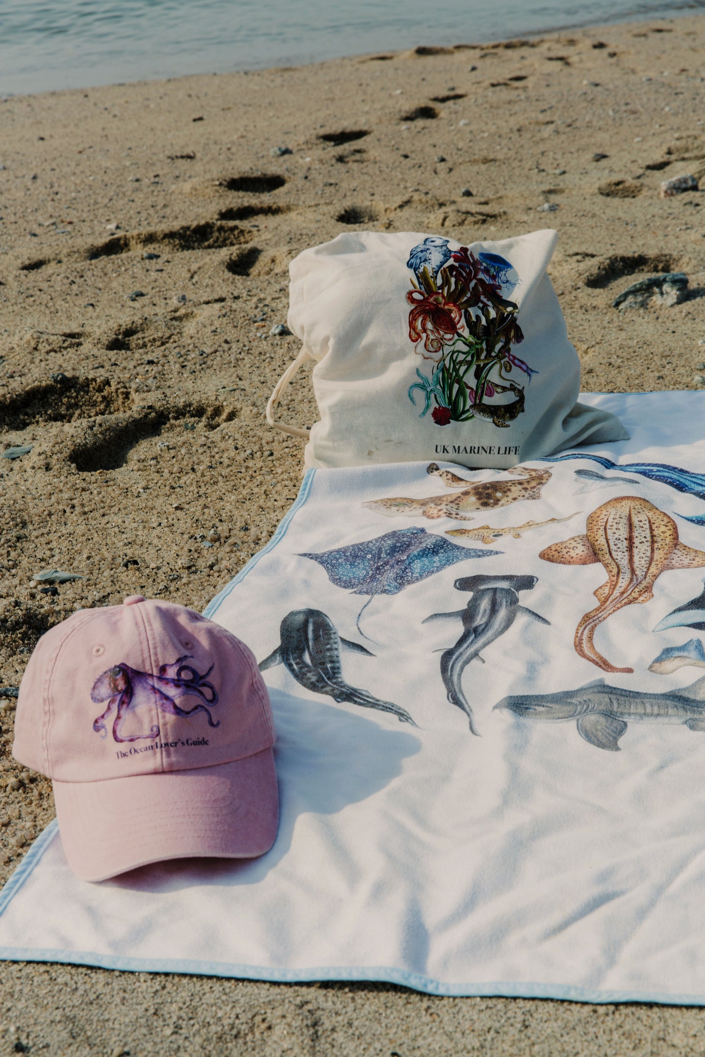 The School of Sharks Towel