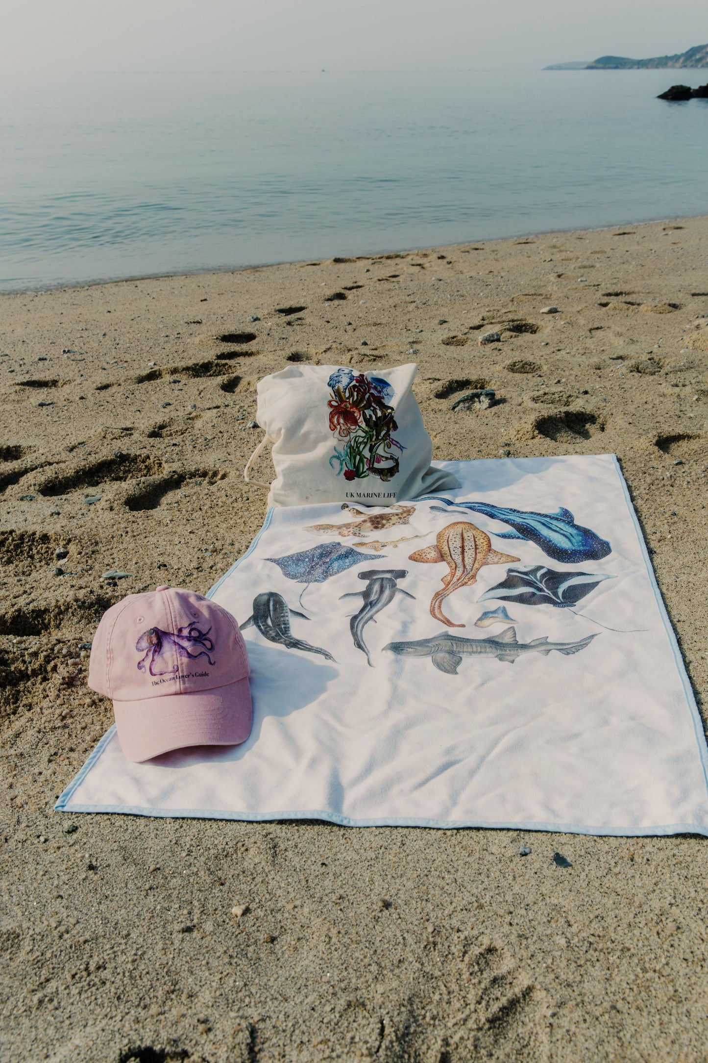 The School of Sharks Towel