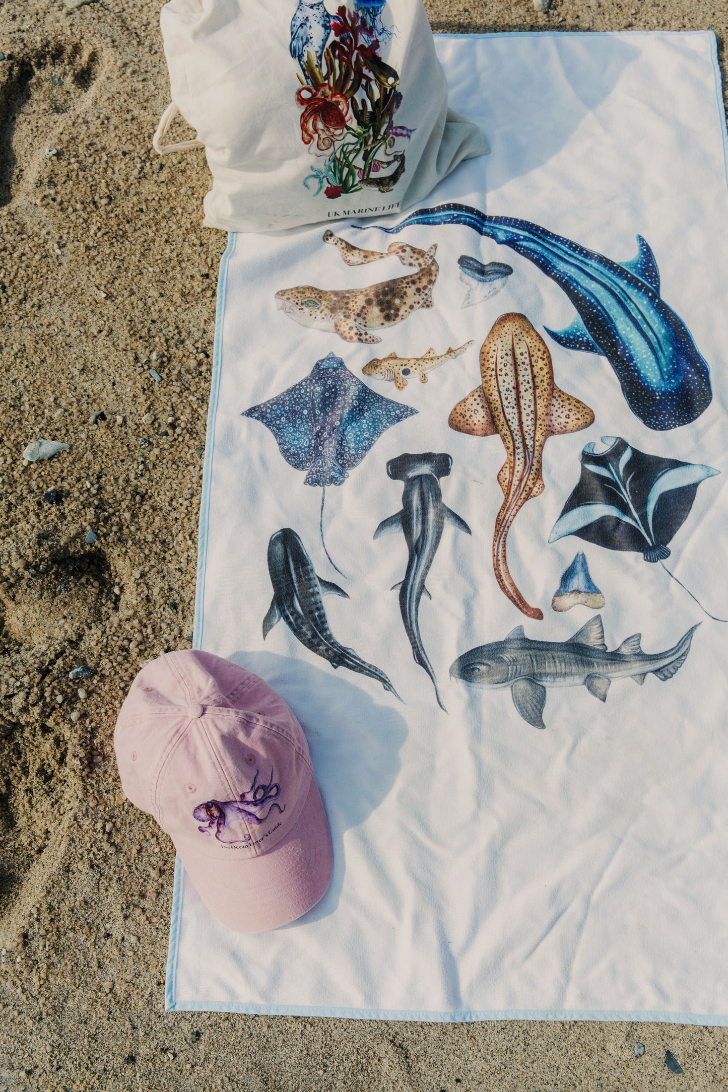 The School of Sharks Towel
