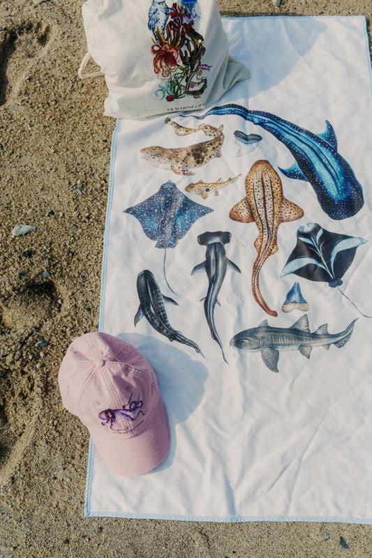 The School of Sharks Towel