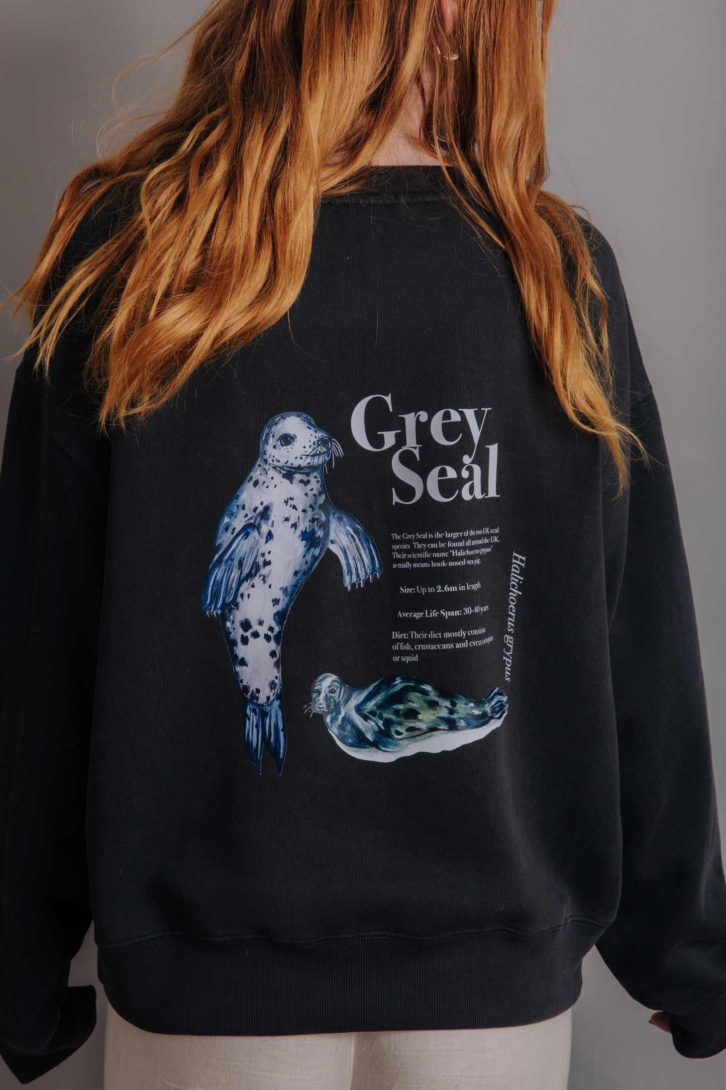 The Grey Seal Sweater