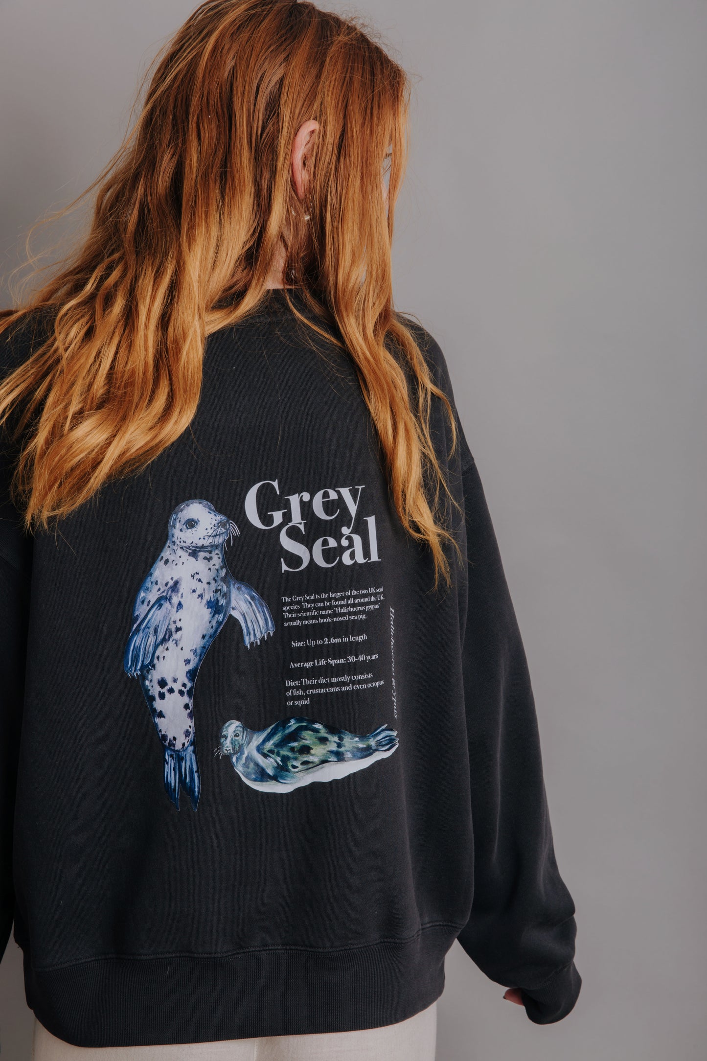 The Grey Seal Sweater