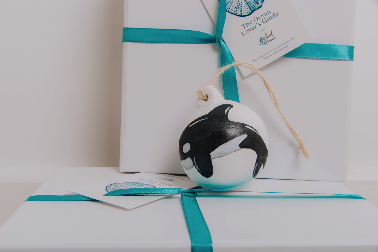 Orca Hand Painted Bauble