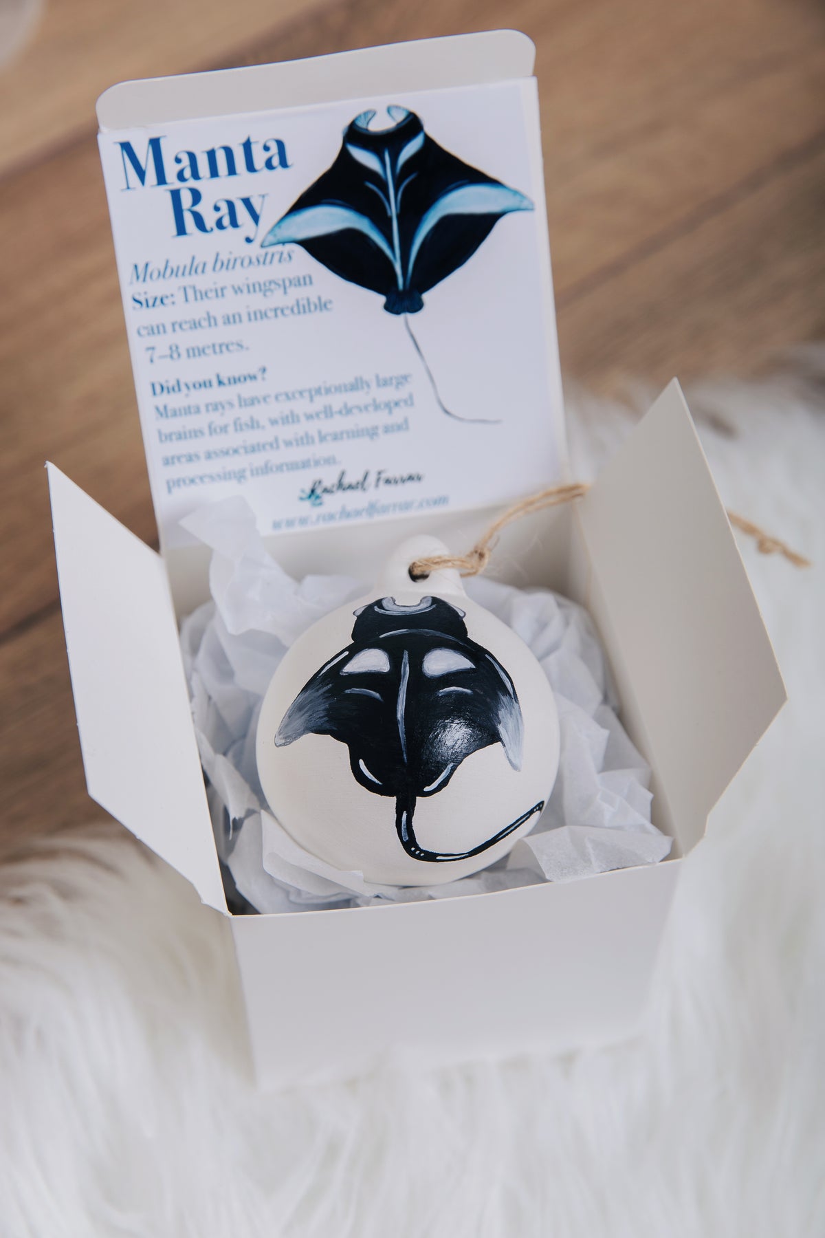 Manta Ray Hand Painted Bauble