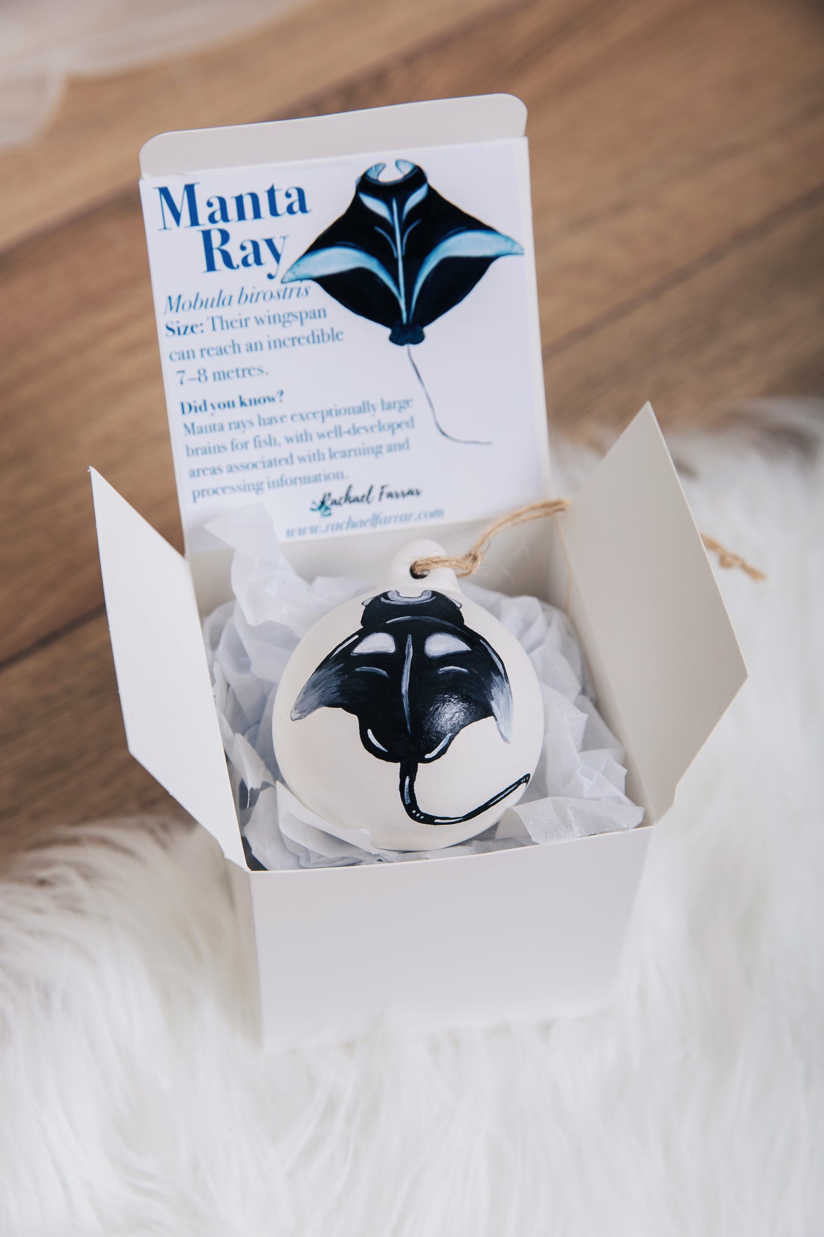 Manta Ray Hand Painted Bauble