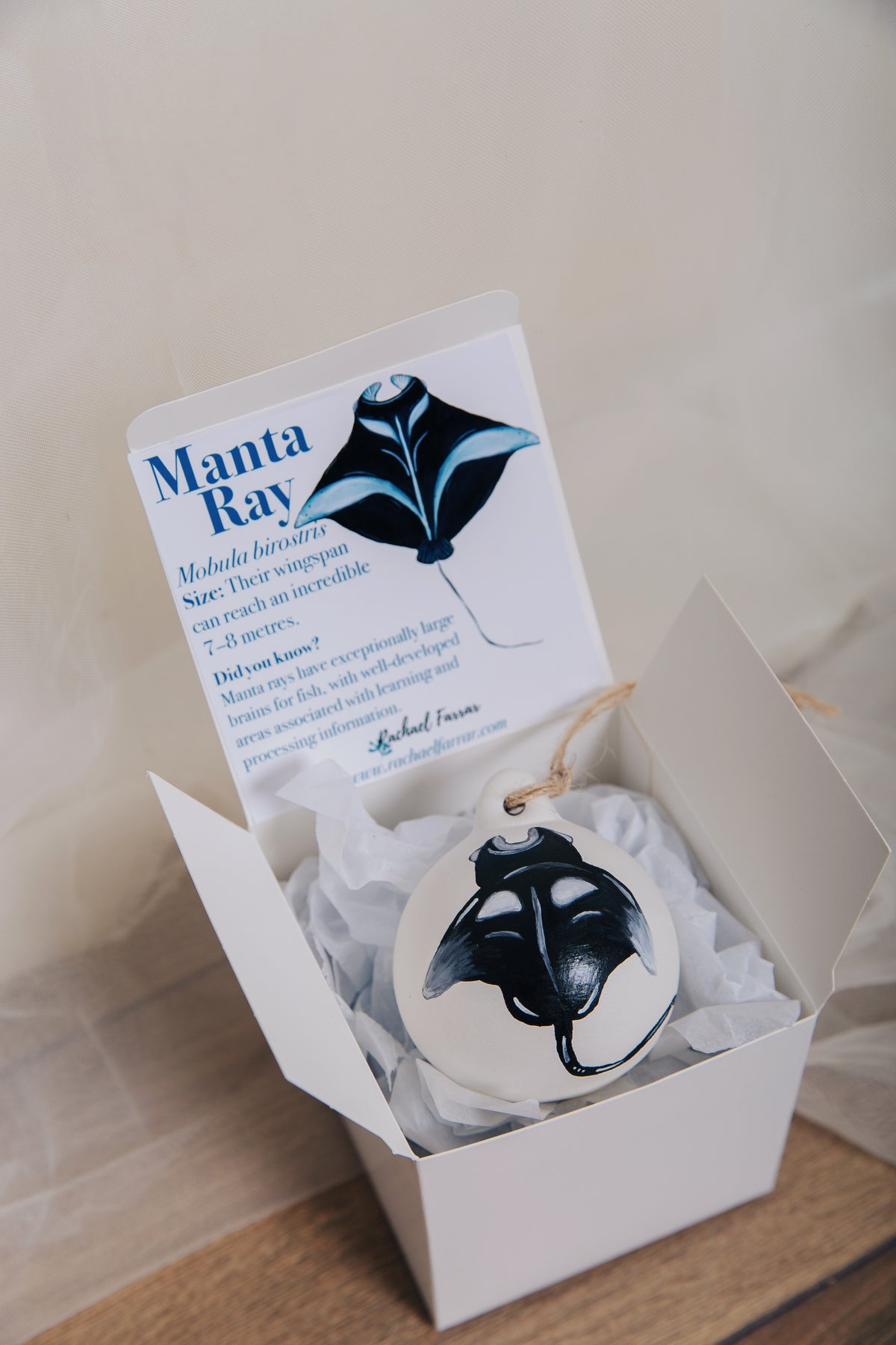 Manta Ray Hand Painted Bauble