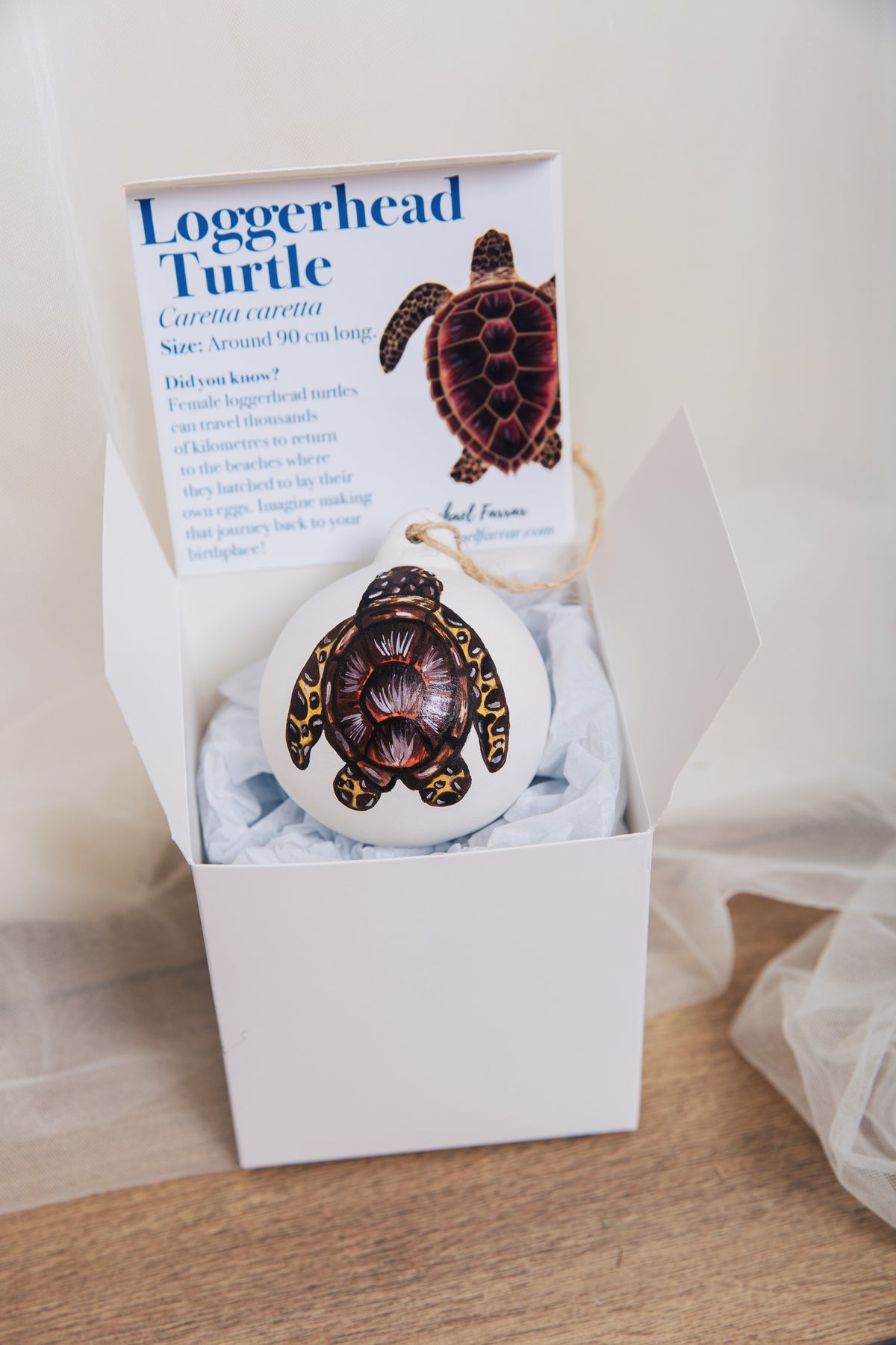 Loggerhead Turtle Hand Painted Bauble