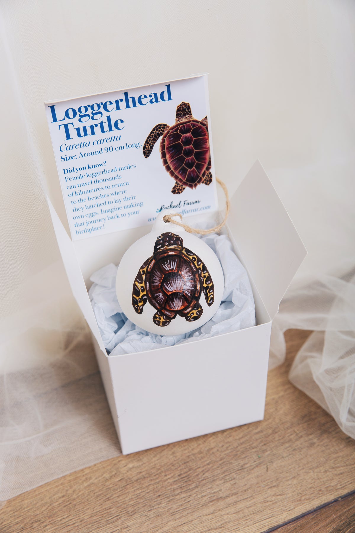 Loggerhead Turtle Hand Painted Bauble