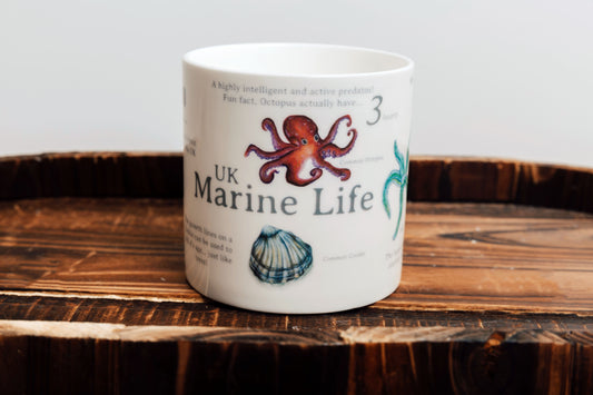 UK Marine Life Bone China Mug