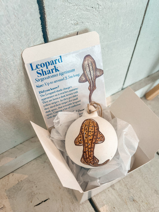 Leopard Shark