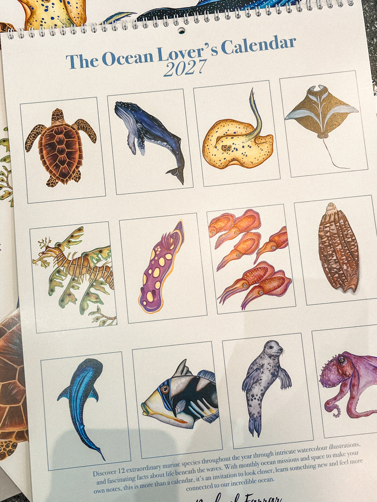 The Ocean Lover’s Calendar